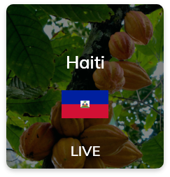 haiti-live