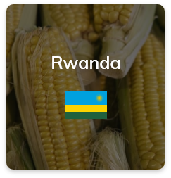 Rwanda-Live