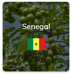 senegal-new
